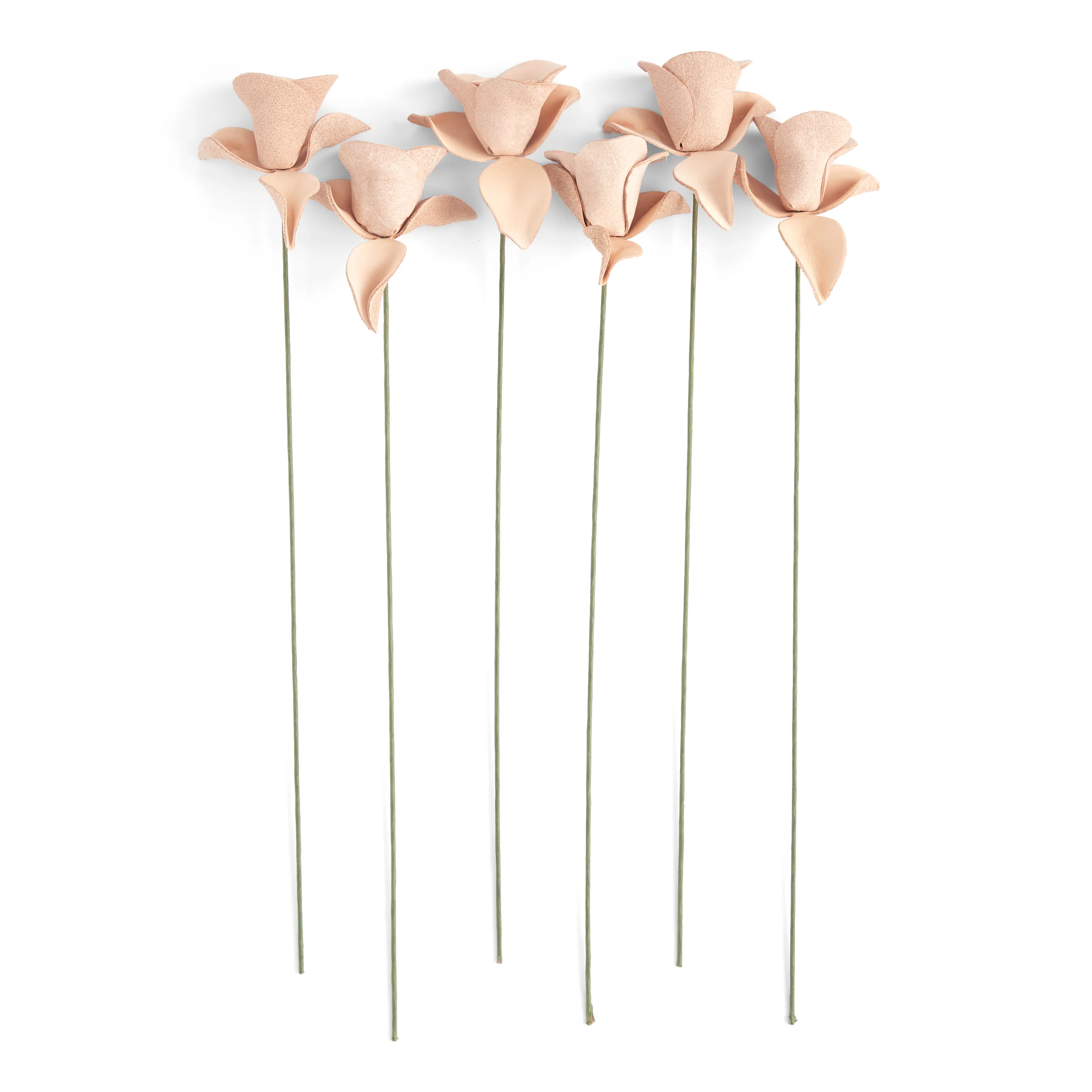 Rose Kit 6 Pack - Image 3