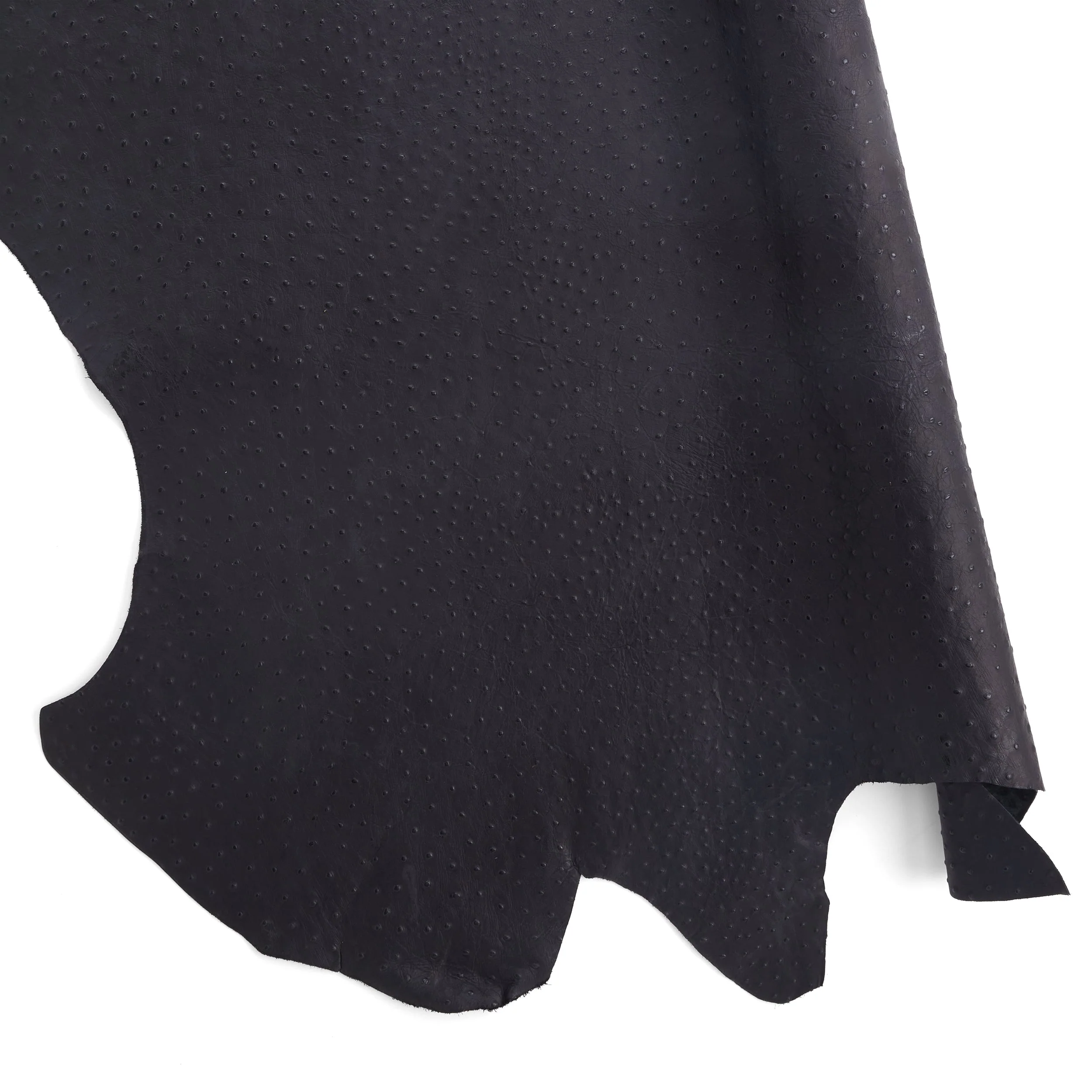 Ostrich Embossed Side - Image 15