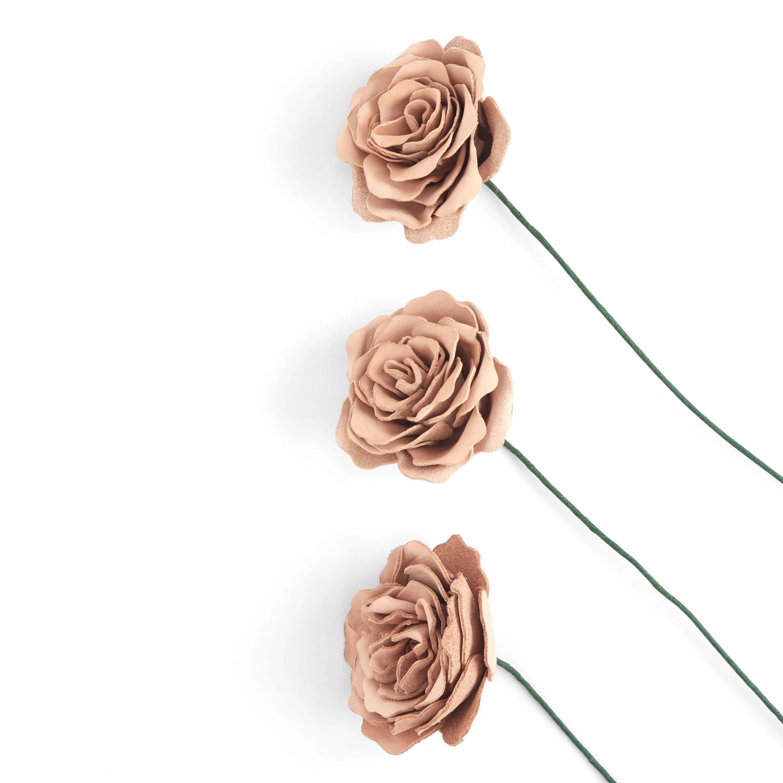Peony Kit 3 Pack