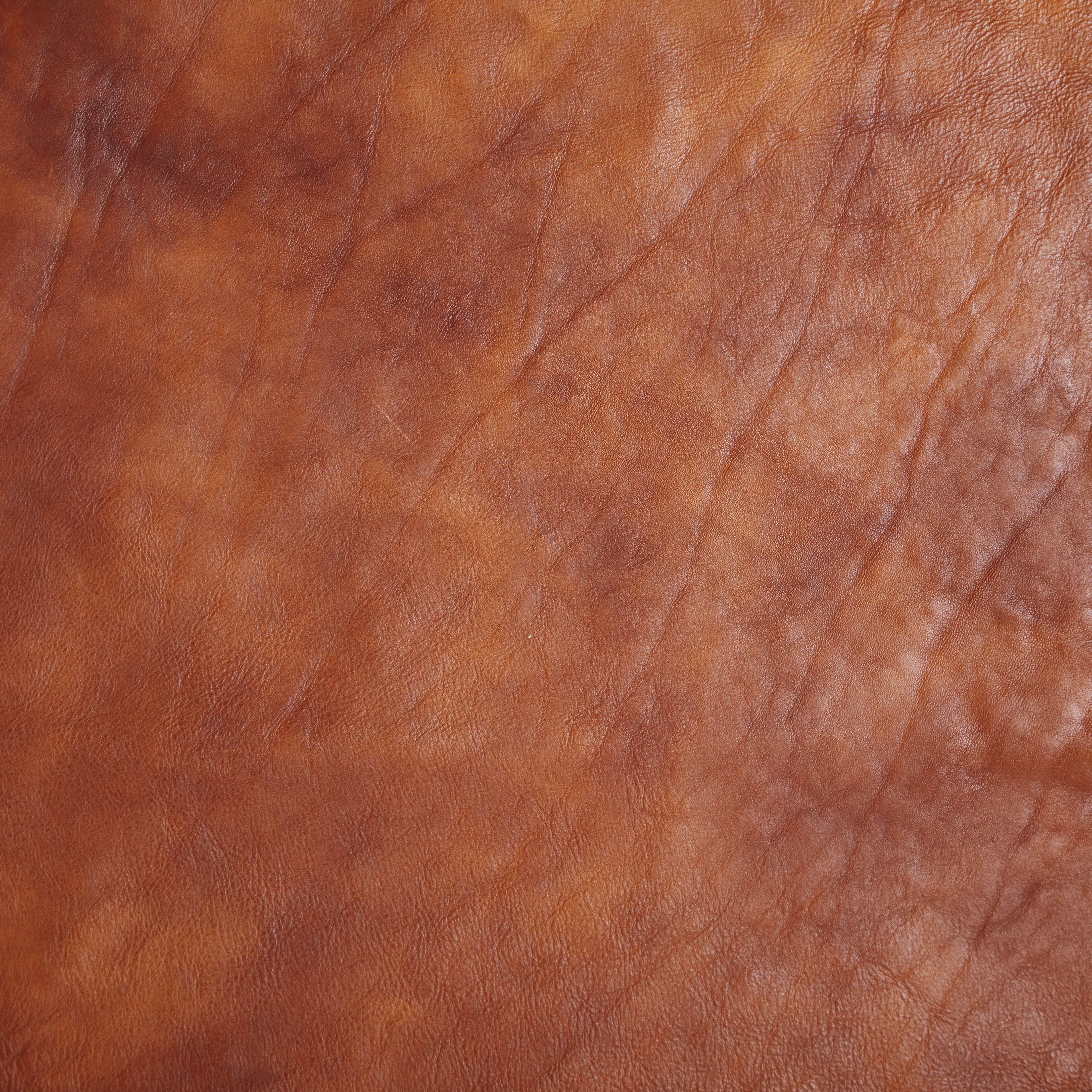 Pontedero Hand-Stained Double Shoulders - Image 3