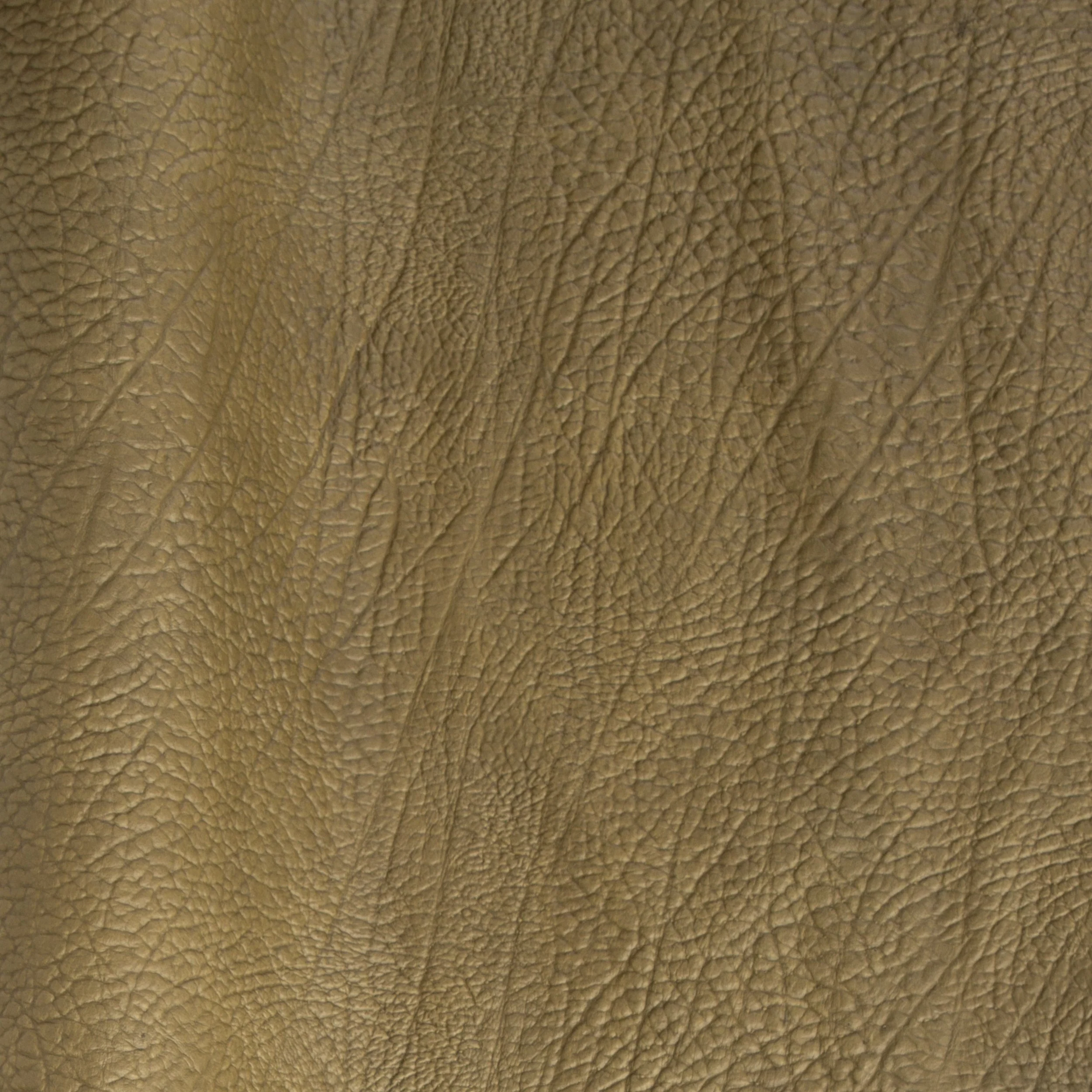 Shrunken Side - FINAL SALE - Image 5