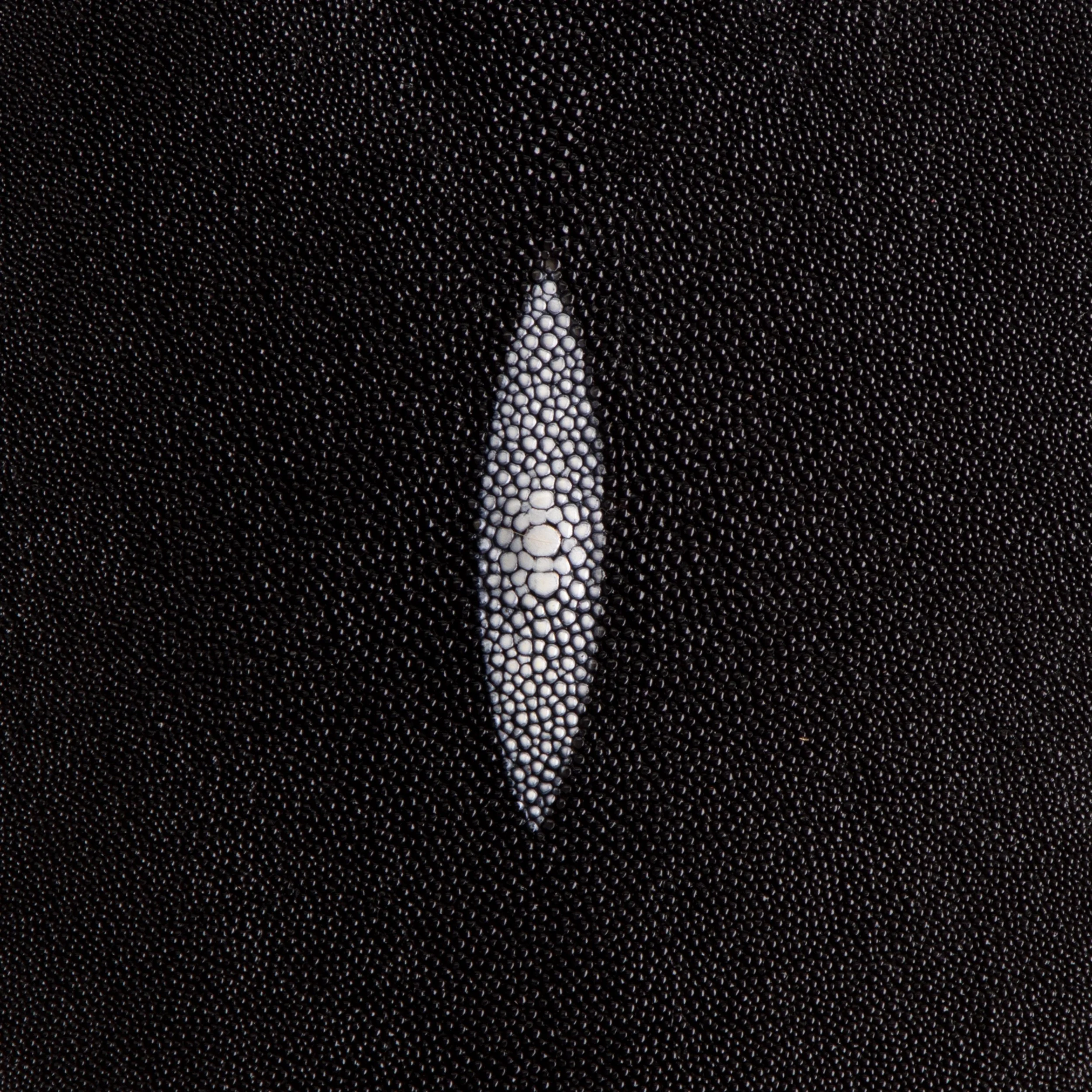 Stingray Small Skin - Image 19