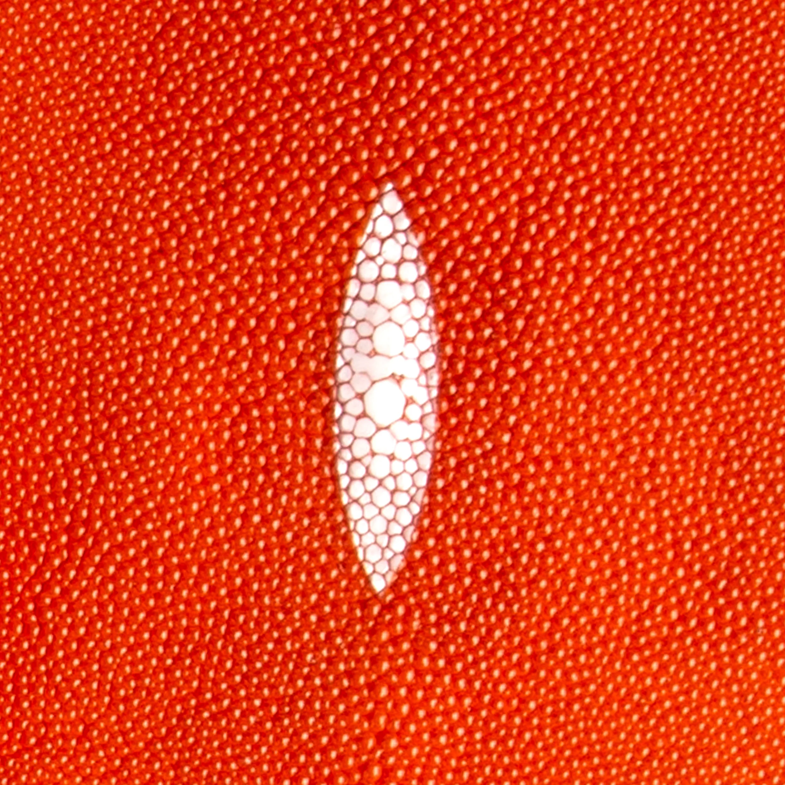 Stingray Small Skin - Image 22