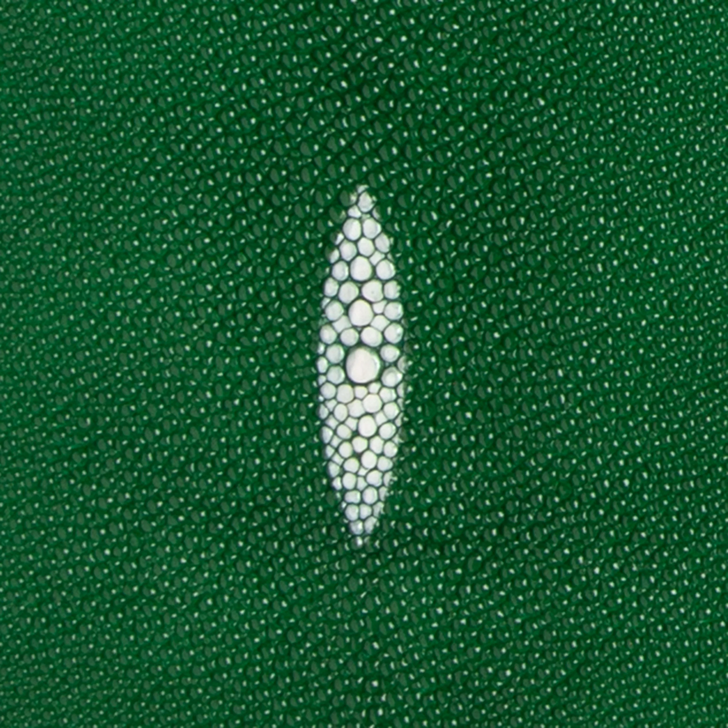 Stingray Small Skin - Image 23