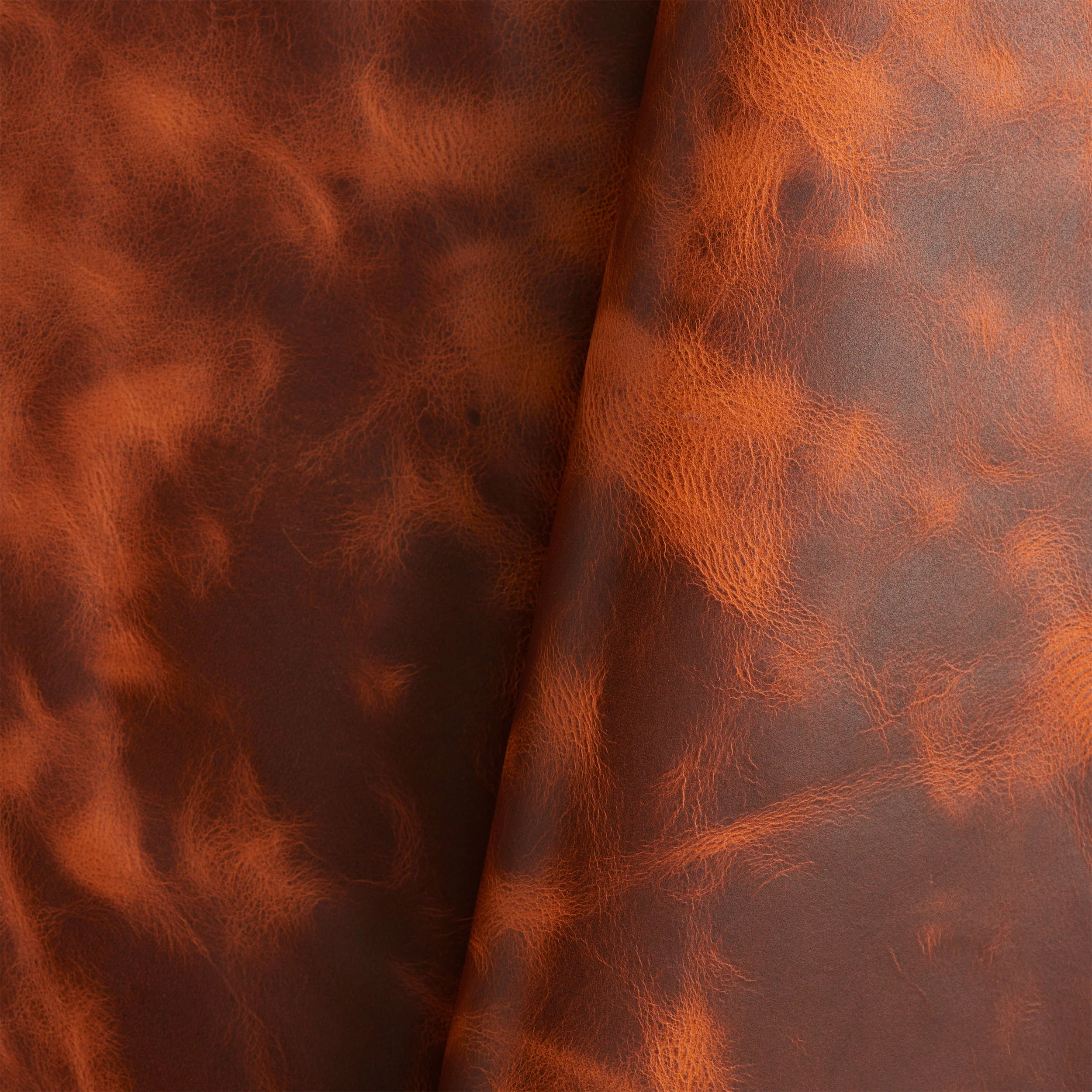Vaquero Side - Image 10