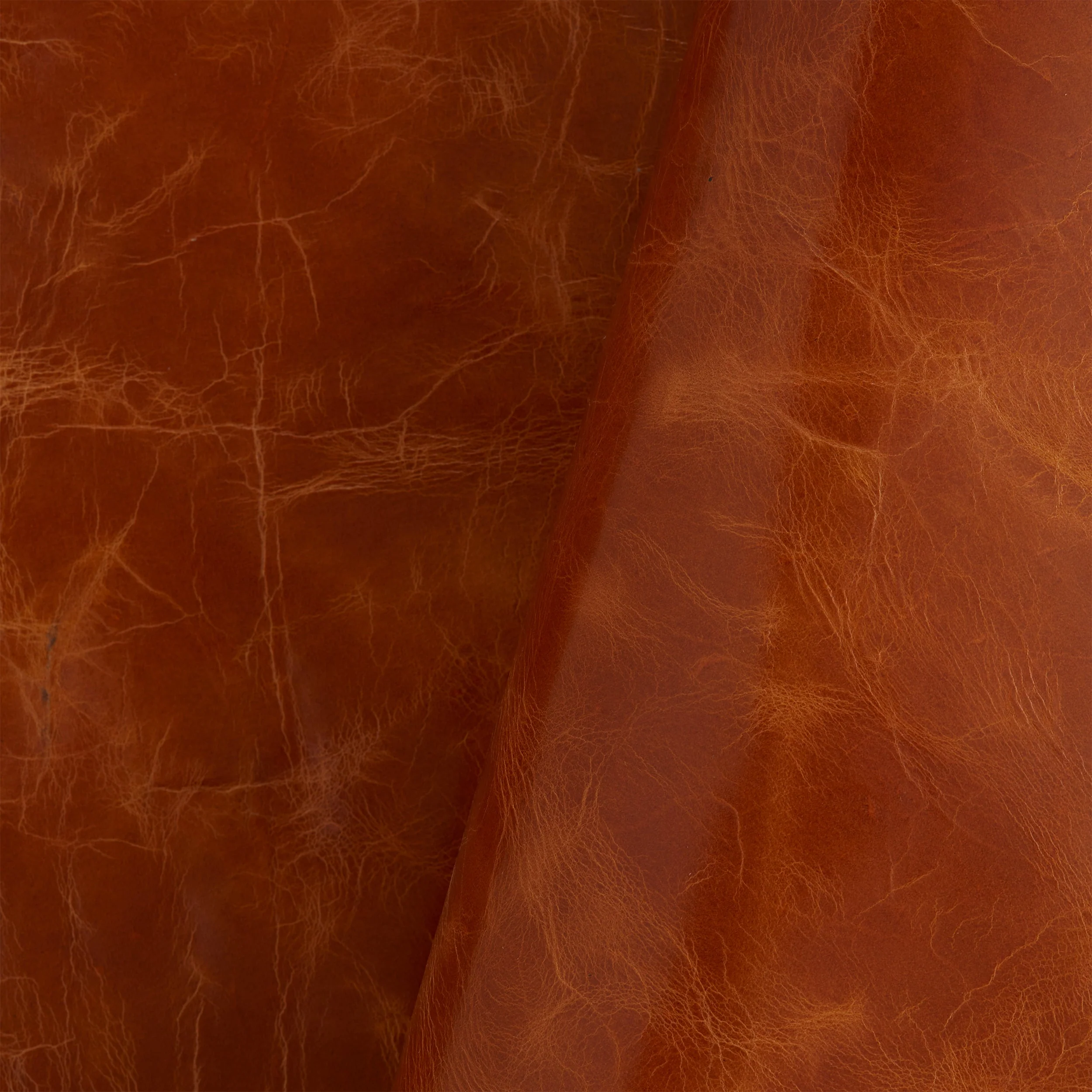 Wyatt Double Shoulder - Image 6